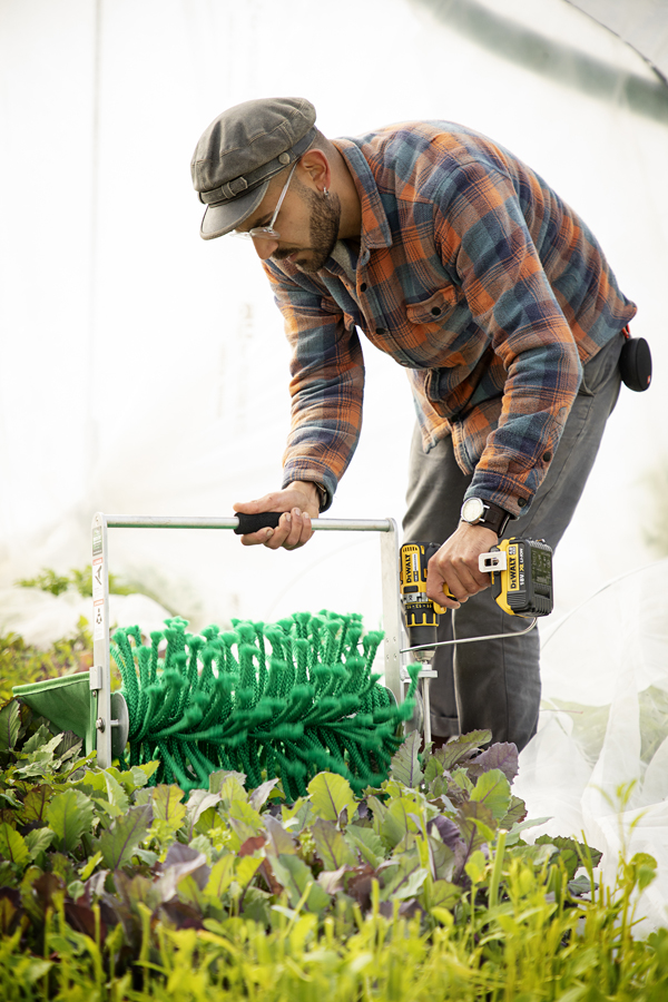 En man jobbar med odlingen i ett växthus. Foto.