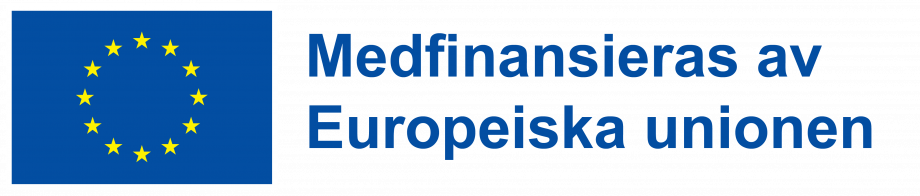 Logotyp med EU-flagga och texten medfinansieras av Europeiska unionen.