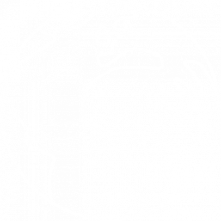 Illustrerad jordglob