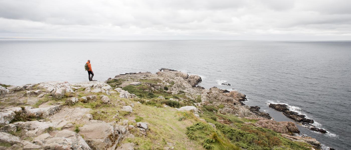 Vandrare på Kullaberg