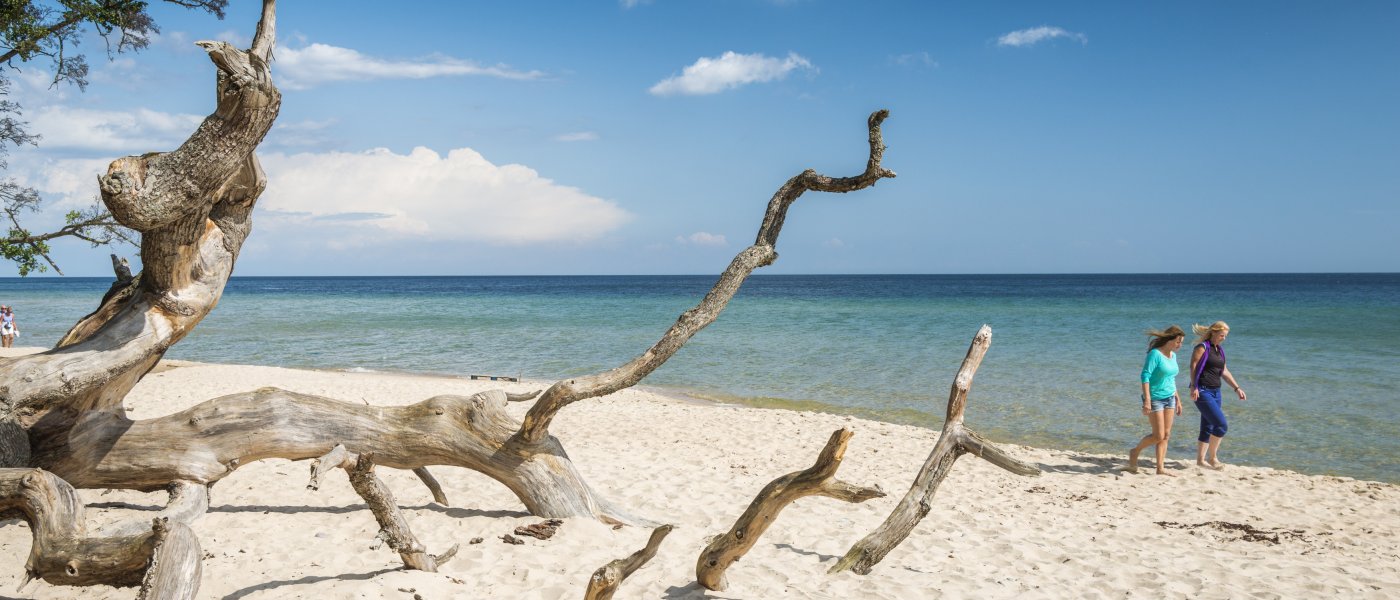 Två personer går nära vattnet på en sandstrand