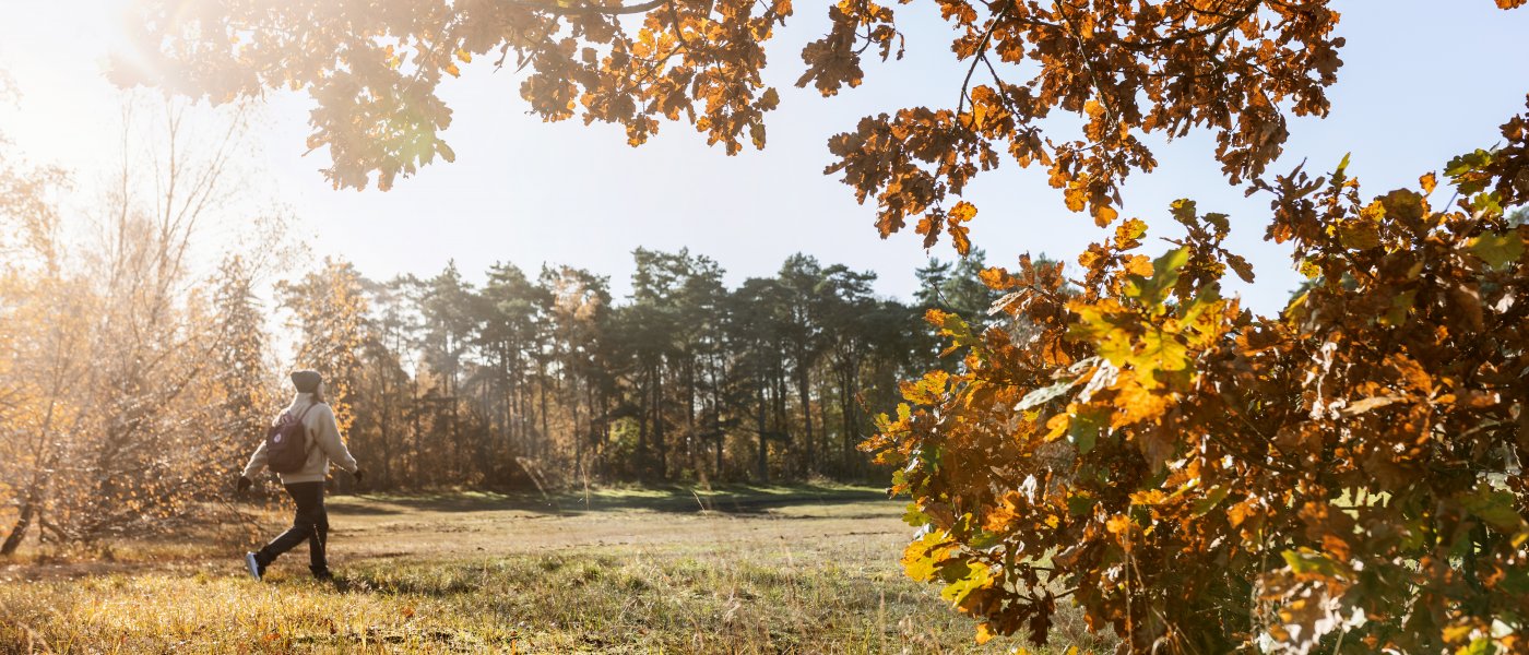 Naturbild från Skåne i höstfärger
