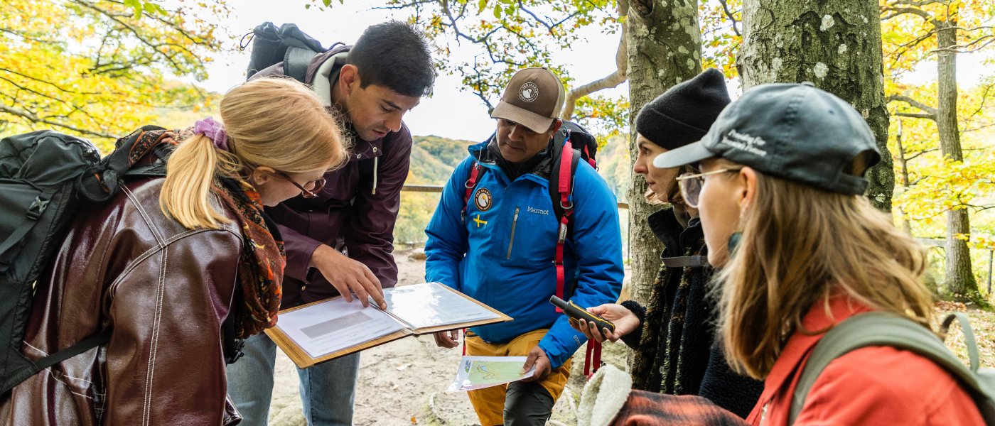 Fem av deltagarna i uppdrag fotspår på plats i Söderåsens nationalpark. De står böjda över en karta och söker efter rätt väg. Foto.