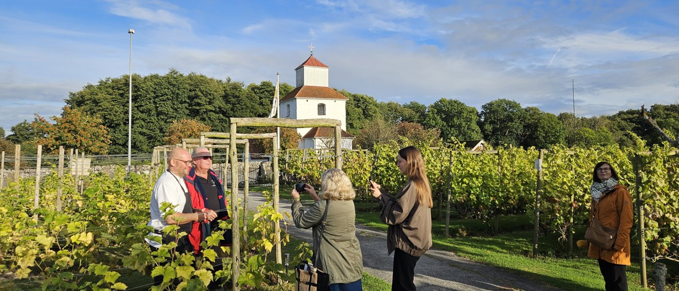 En grupp journalister fotograferar i en vingård. Foto.