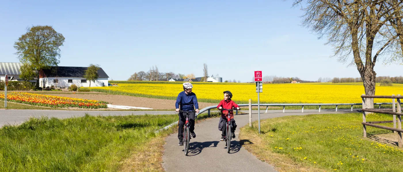Cyklister på landsväg