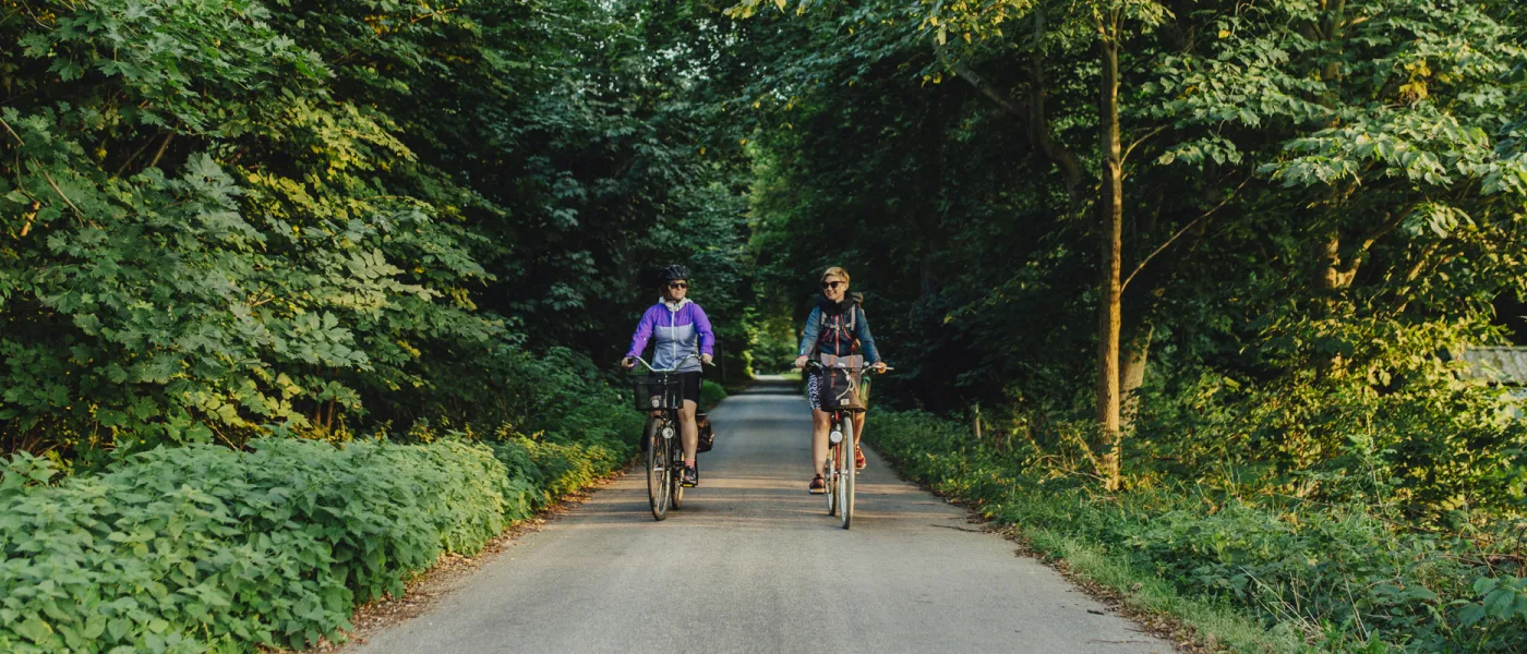 Cyklister på grönskande skogsväg