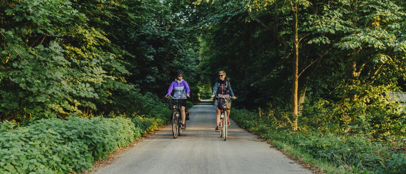 Cyklister på grönskande skogsväg