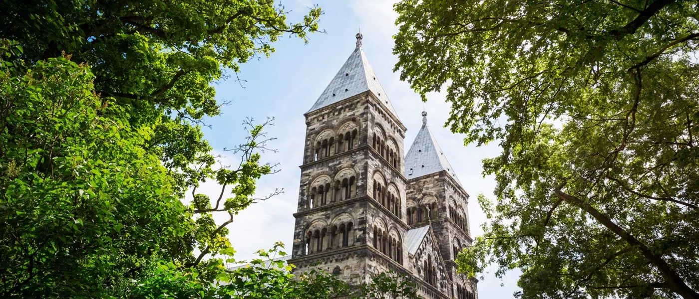 Grodperspektiv på lunds domkyrka med träd