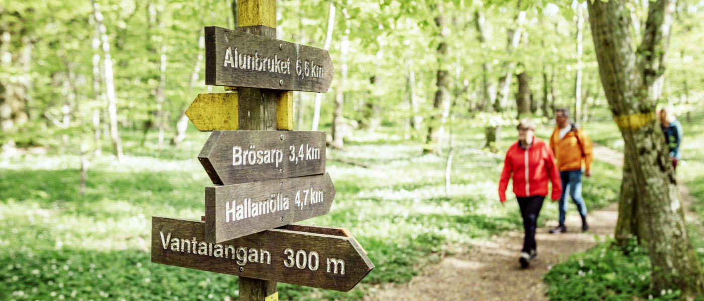 Två äldre personer går på en vandringsled i ett vårlandskap med vitsippor och skyltar åt olika håll