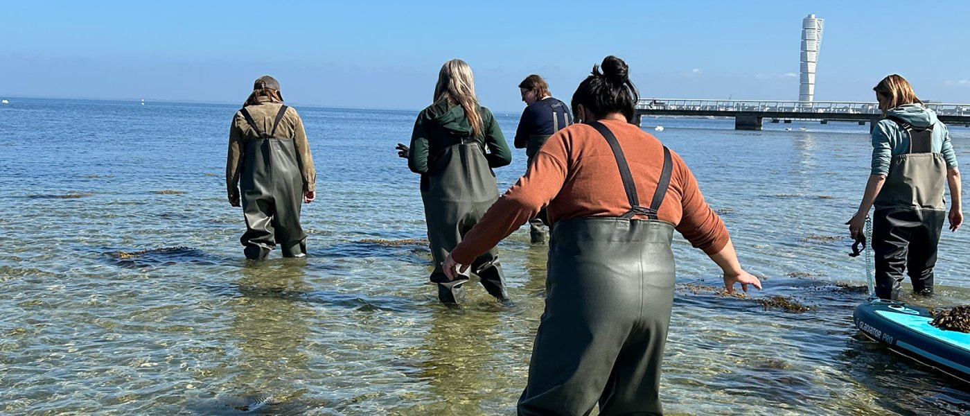 Tångsafari vid Ribban