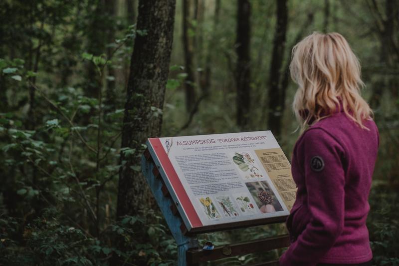 Kvinna i skogen tittar på infoskylt