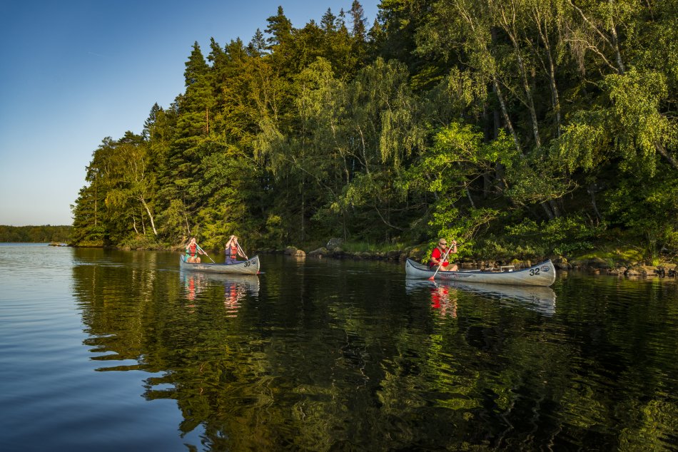 två kanoter på vatten vid en skog