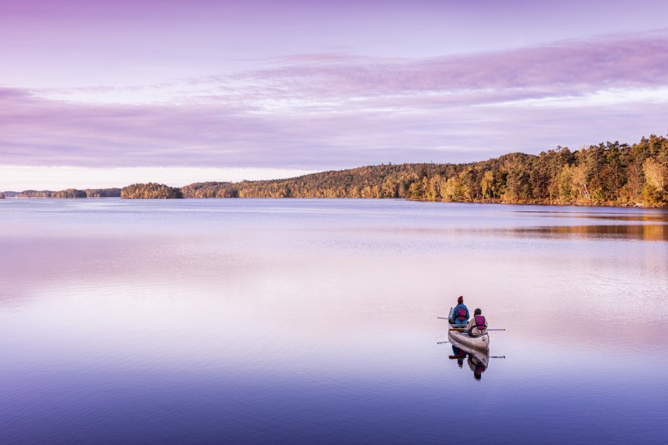 En ensam kanot med två paddlare glider fram på en spegelblank sjö i solnedgång. Foto.
