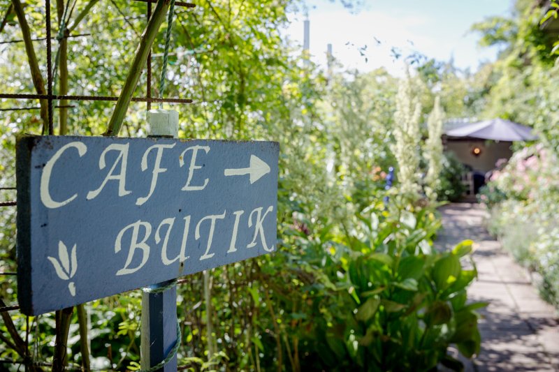 Skylt som pekar mot café och butik i en grönskande trädgård. Foto.