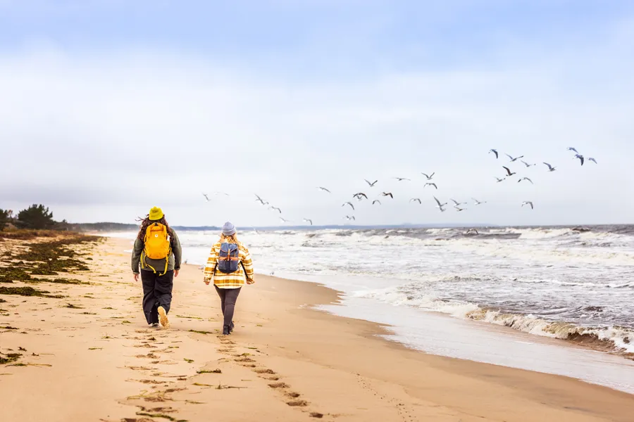 Två vandrare på en strand. Foto.