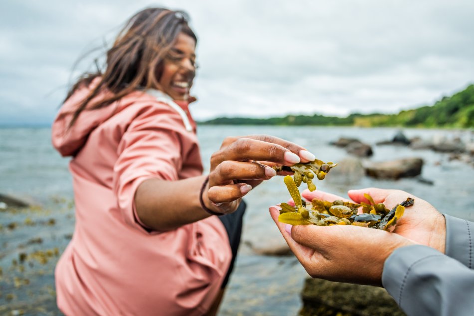 Kvinna plockar tång vid havet