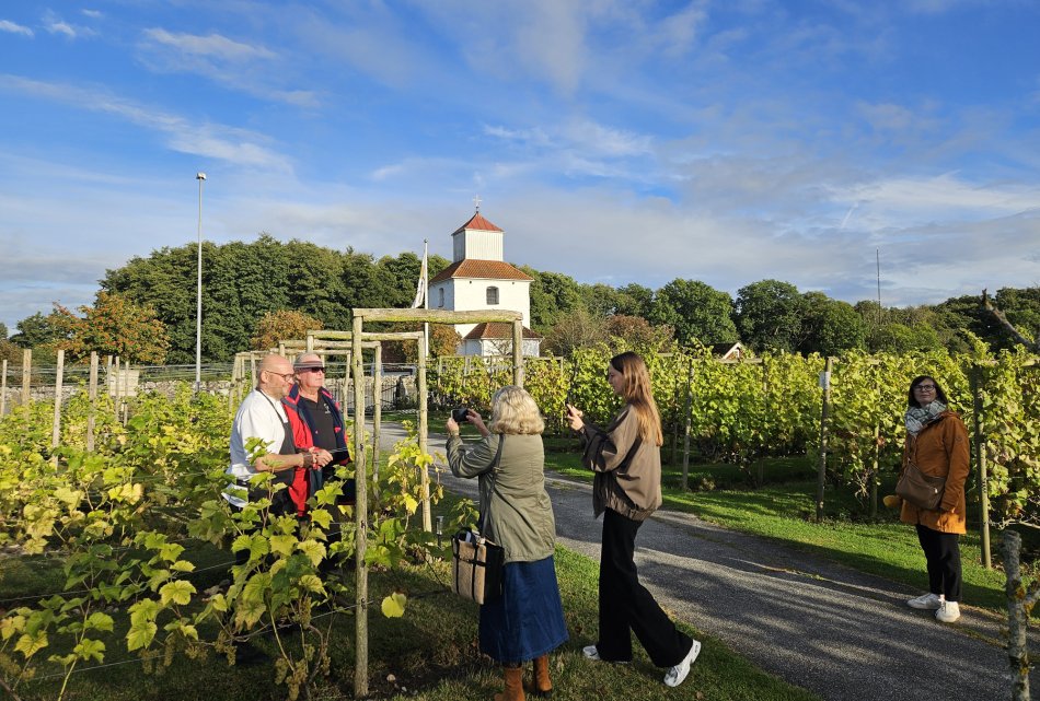 En grupp journalister fotograferar i en vingård. Foto.