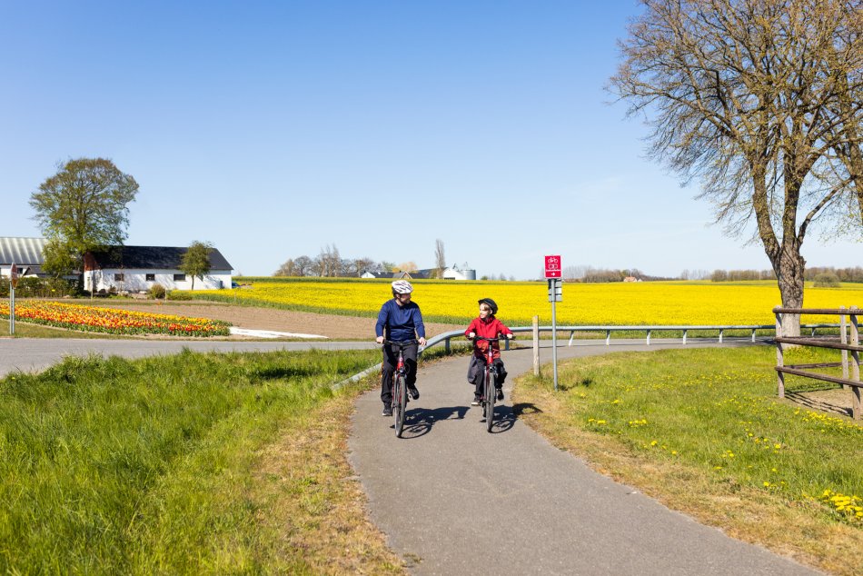 Cyklister på landsväg