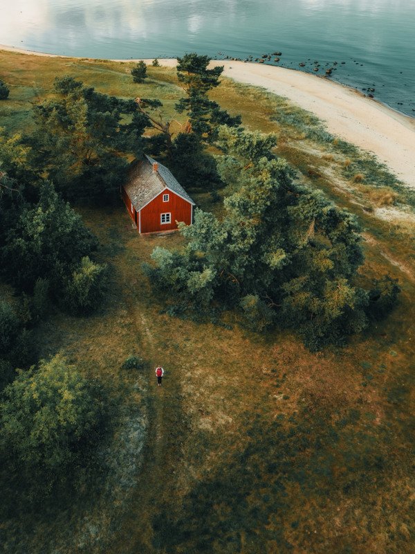 Rött hus i skogsdunge nära havet