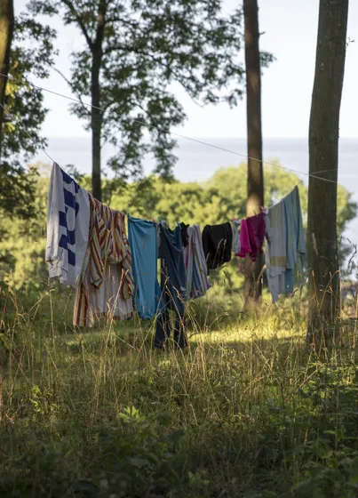 Tvätt på tork mellan två träd