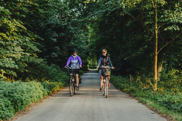 Cyklister på skogsväg