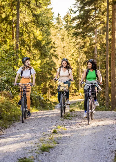 Cyklister på grusväg i skogen