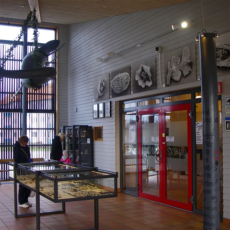 Havsdrakarnas hus