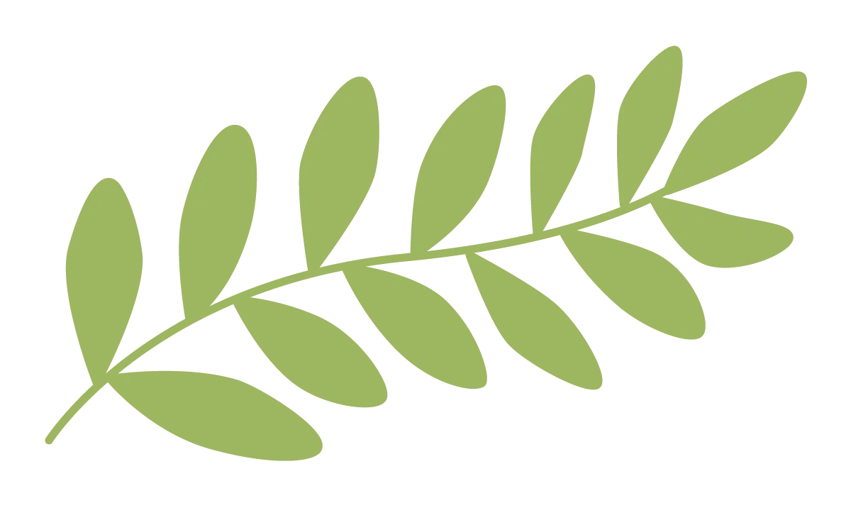 Illustration av ett löv