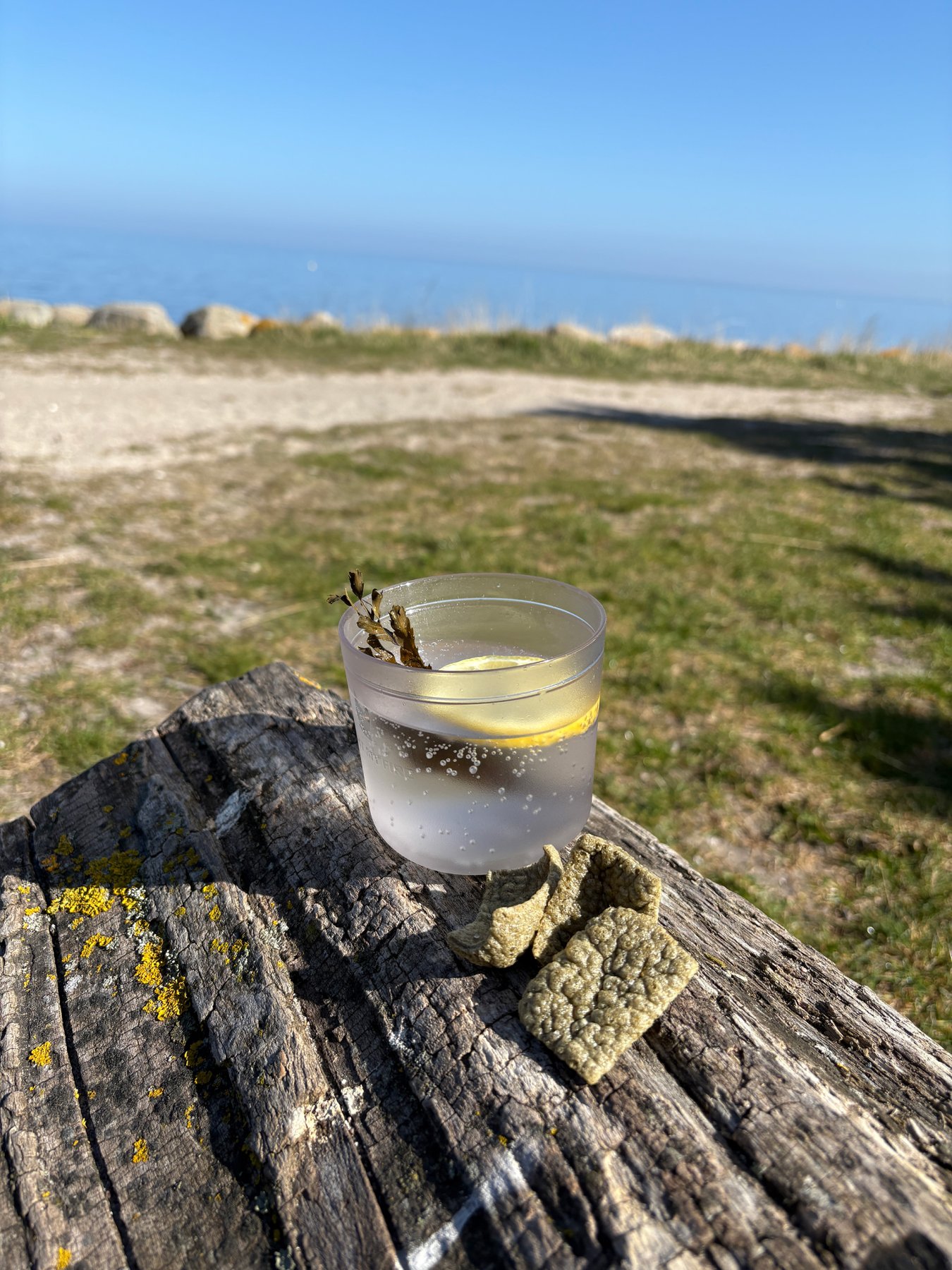 Tonic med tånggarnering vid stranden